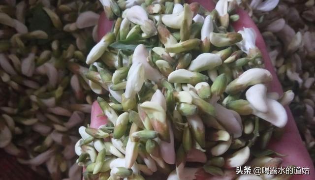 槐花怎么蒸着吃教程图解(图8)