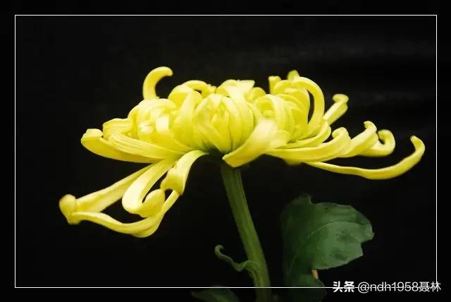 女人最大的财富是什么(图9)