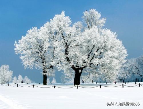 关于雪的现代诗词（雪有关的现代诗）