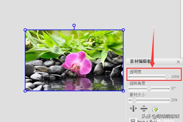 手机壁纸最新壁纸手机壁纸最新壁纸高清图