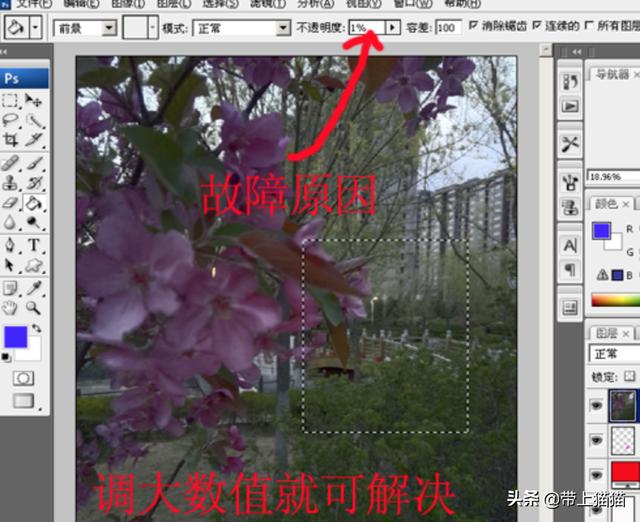[ps油漆桶]PS里油漆桶用不了的7种解决方法和原因？