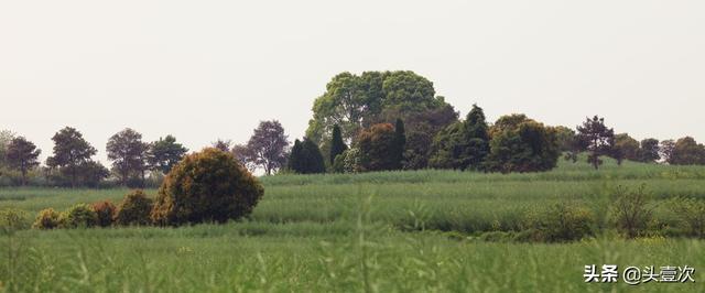 [心死了]一个心死的人，要怎样才能让心从新复活呢？