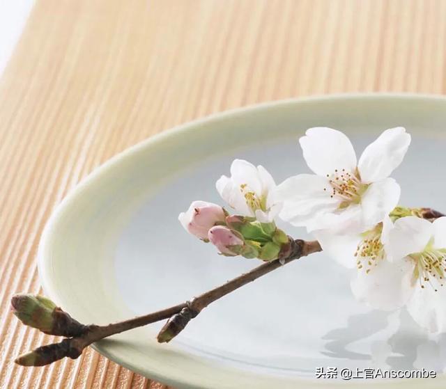 长生不老_长生不老是成语吗