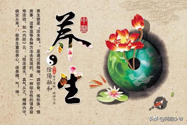 中医人在海外生活如何赚钱，中医人在海外生活如何赚钱的