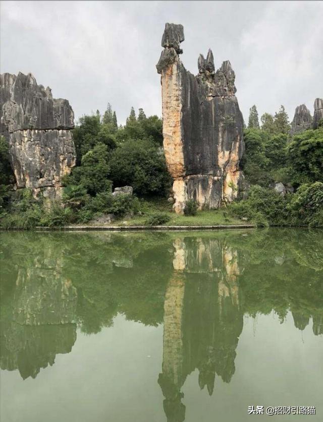 云南旅游怎么报团,云南旅游怎么报团合适