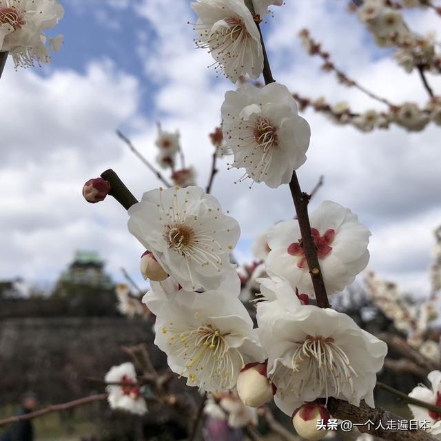 春天影院