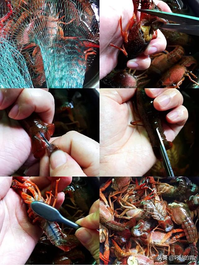 蒜泥龙虾做法步骤-蒜泥龙虾做法步骤视频
