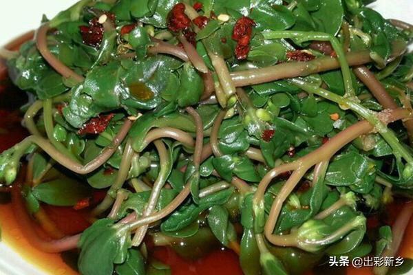 中国菜烹饪特点 食谱介绍,中国菜烹饪特点 食谱介绍图片