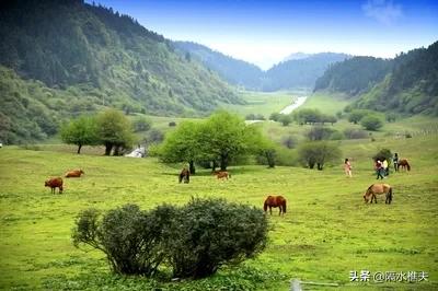 重庆武隆仙女山景区图片-重庆武隆仙女山景区图片大全