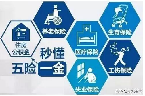 养老保险怎么交最合适，养老保险怎么交最合适,交多少钱