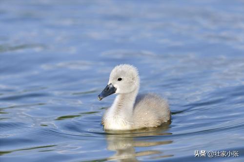 适合一岁半宝宝听的故事（一岁半小宝宝听的故事）