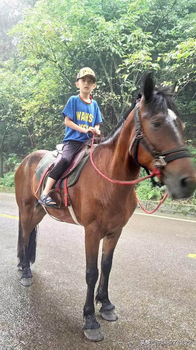 香港飞马足球俱乐部怎么样 ， 香港飞马足球俱乐部