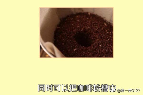 如何使用咖啡机-如何使用咖啡机制作热咖啡