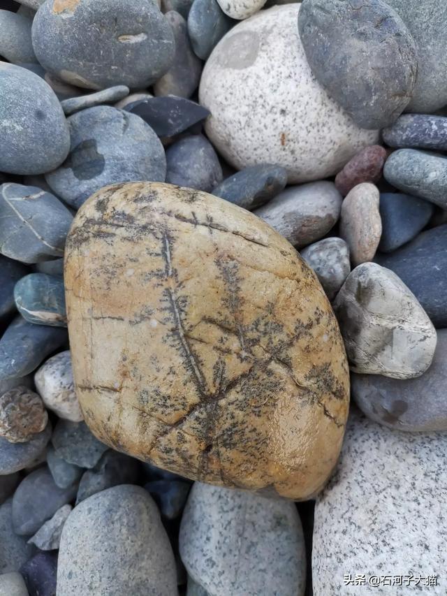 乌兰察布市四子王旗纸飞机账号购买经验