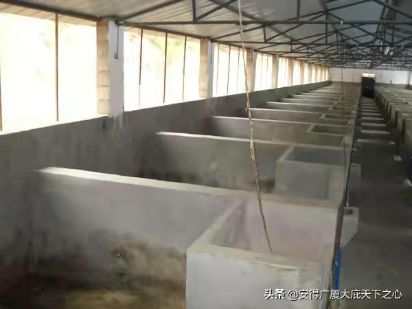 日照饲料厂名单-日照饲料厂名单公示
