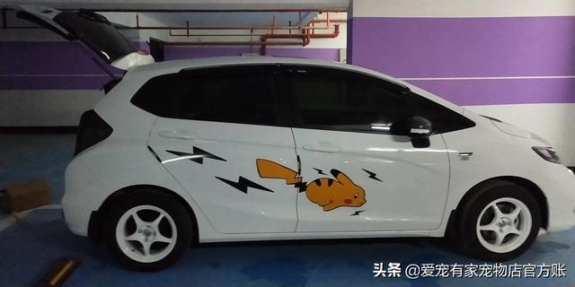 正常两个月的狗狗能睡多久,第1张
