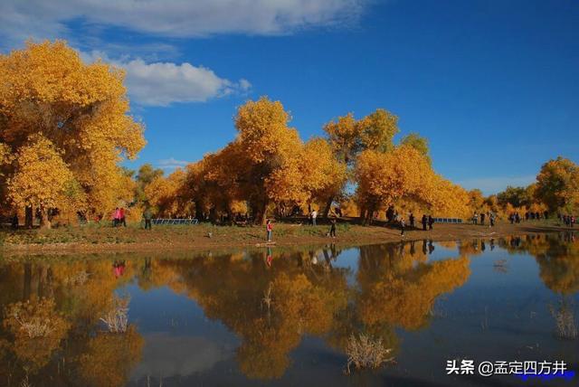 额济纳胡杨林最佳观赏时间（额济纳旗旅游最佳时间是什么时候？）