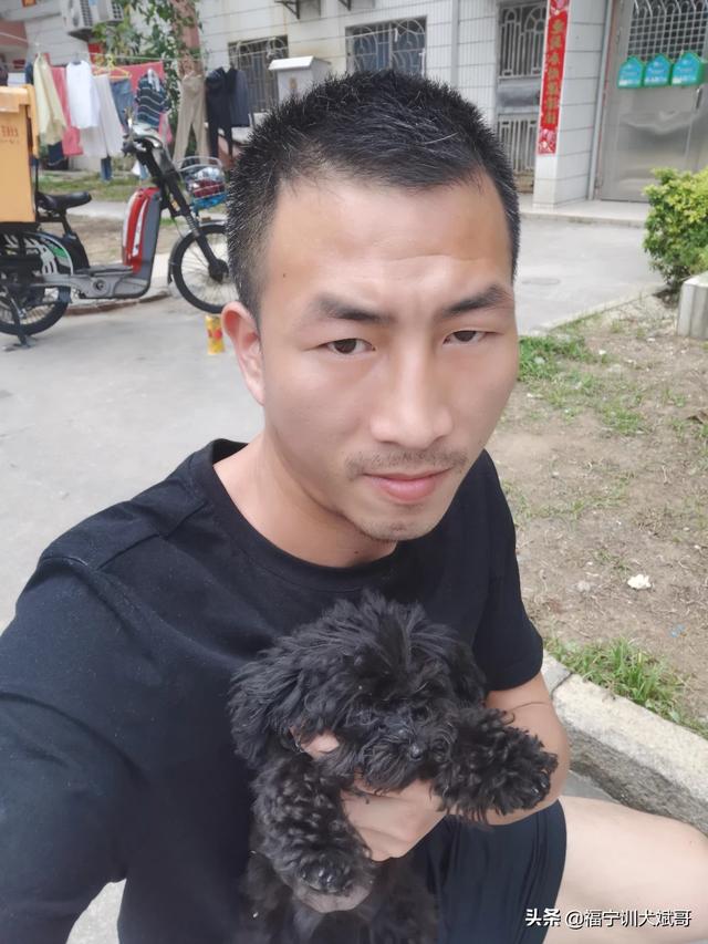 柴犬为什么那么像土狗