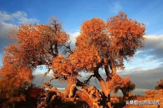 中国十大最美海滩-中国十大最美海滩排名