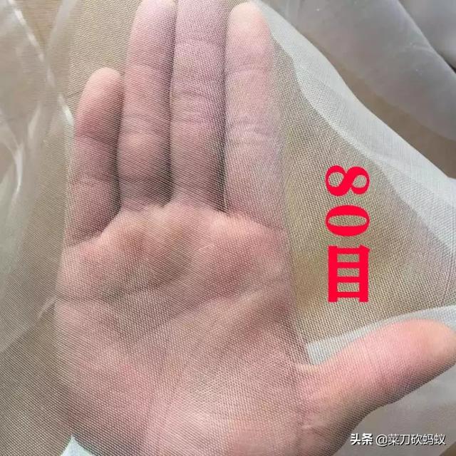 中国蔬菜种植网，中国蔬菜种植网下载