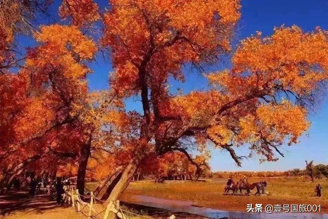 榆林市靖边县纸飞机账号购买服务