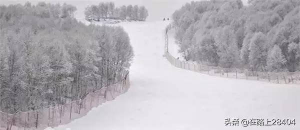 连夜买票到湖南赏雪