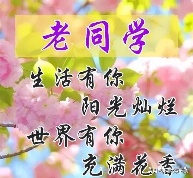 青春常驻永远年轻的句子，和青春送祝福类似的句子