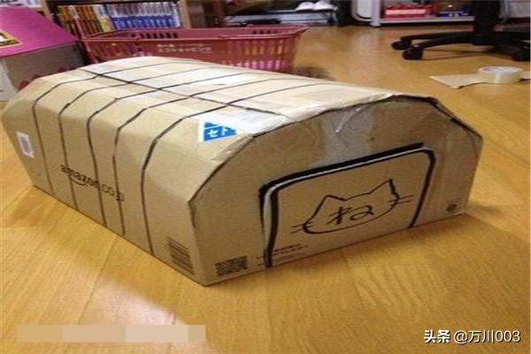 如何用纸盒做猫窝