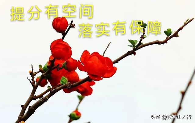 高二期末考怎么复习数学(图3)