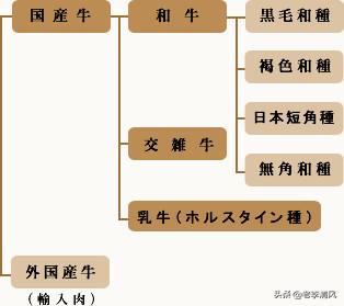 和牛的等级判定,第1张