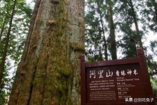 [台湾景点]台湾省内有哪些著名的旅游风景名胜古迹值得一去？