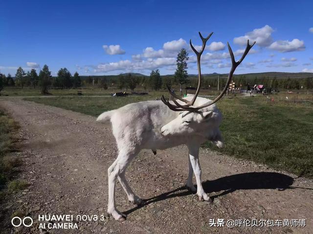 适合坐火车去旅游的地方,适合坐火车去旅游的地方有哪些