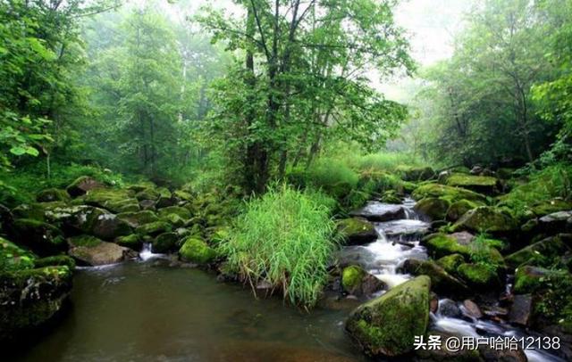 吉林伊春旅游景点大全， 吉林伊春景点排名