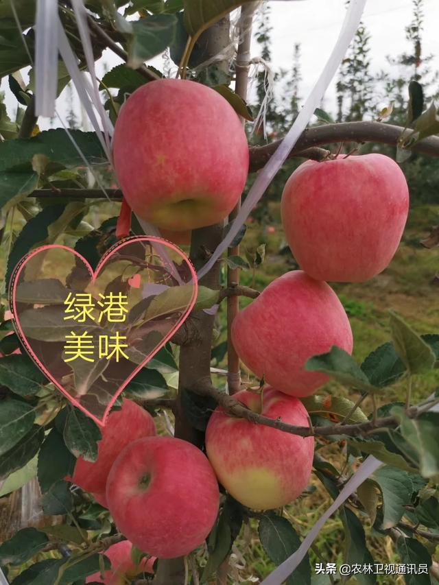 阿克苏mg汽车报价,阿克苏新车报价