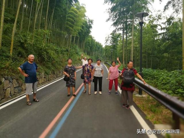 安吉白茶小篆字体