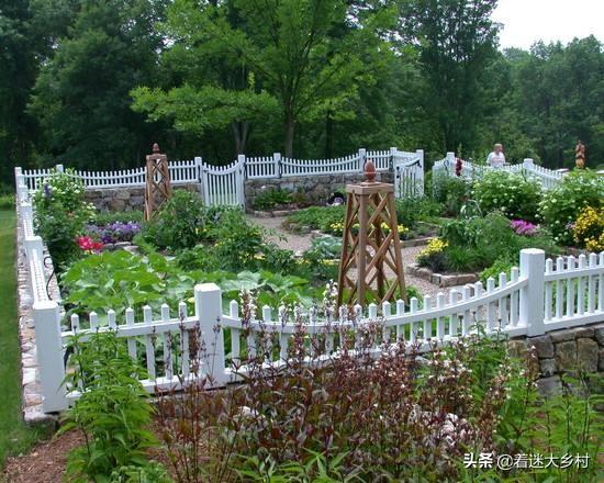 花园架子种植图片欣赏图,花园架子种植图片欣赏图大全