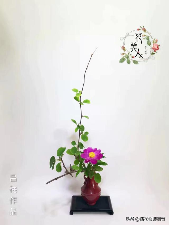 插花艺术与花艺设计答案,插花艺术与花艺设计答案第二章