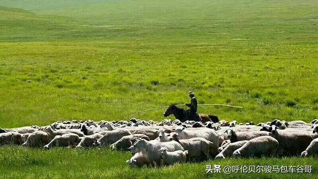 内蒙古大草原图片风景图片-内蒙古大草原图片风景图片高清