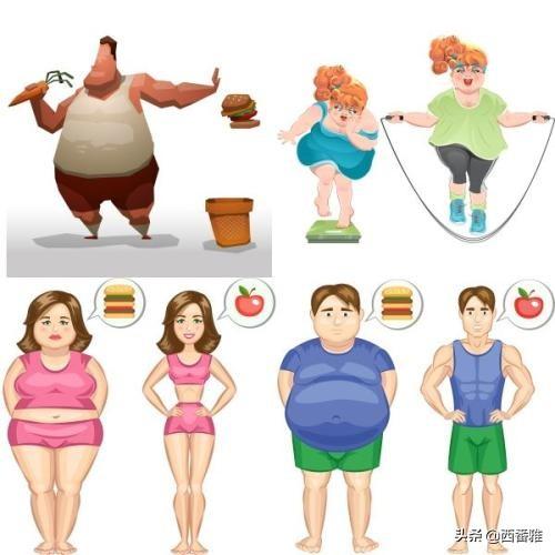 上身胖秋季如何搭配衣服
