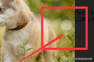 小桌面（手机屏幕上方总显示小屏幕怎么关掉？）