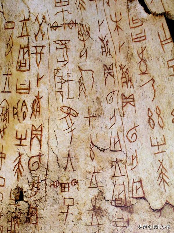 篆书字体转楷书