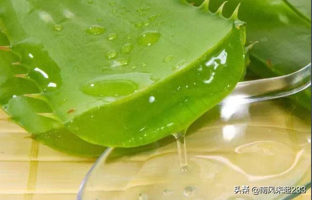 美妆品类好物茹荟胶
