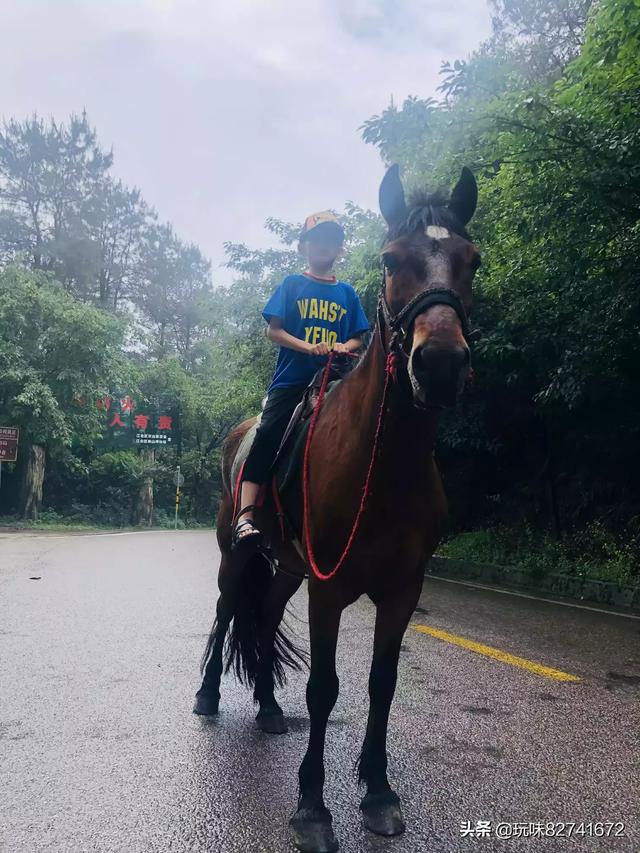 香港飞马足球俱乐部怎么样 ， 香港飞马足球俱乐部