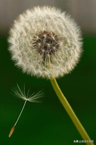 南方种植果园图片大全高清,南方种植果园图片大全高清图