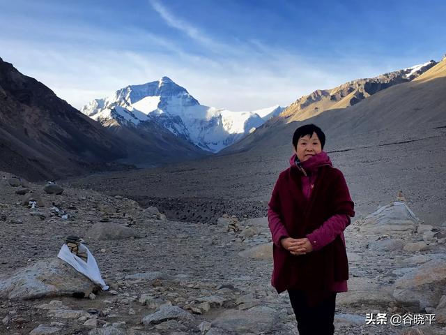 西宁市湟中区纸飞机账号购买服务