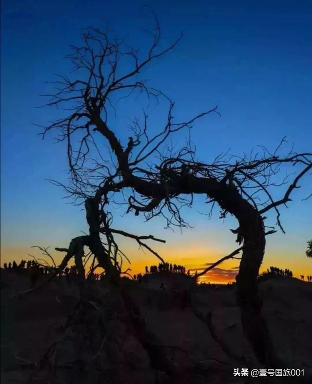 榆林市靖边县纸飞机账号购买服务