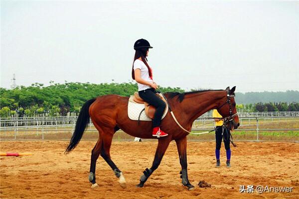 石家庄市骑马场在哪里