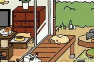 猫咪后院新手攻略 - 铺满枕头和垫子
