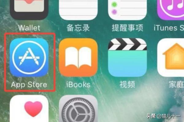 app开发苹果