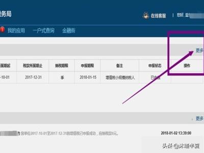 江苏电子税务局：构筑税收信息共享的数字桥梁，电子税务 江苏
